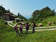 20 Alla Malga Pozzetto (1399 m)